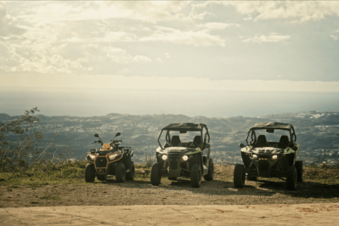 2 Hour Buggy Tour through the mountains and hills of Mijas