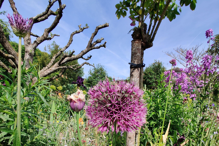 Giverny: Monet House Tickets With Garden Guided Tour Monet House Skip The Line With Garden Tour - Standard Group