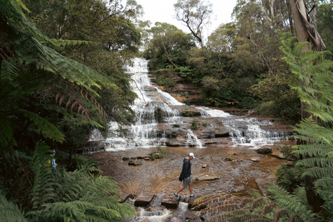 Montagnes bleues : Scenic World, Ferry, Zoo et Koala Photo