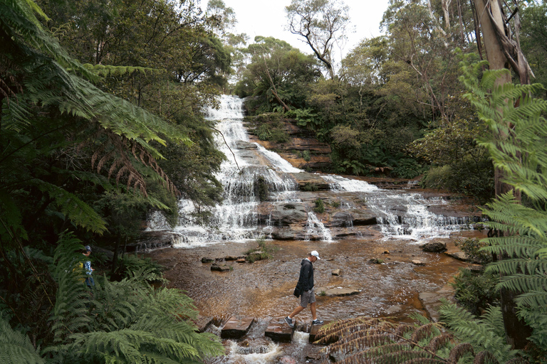 Blue Mountains: Mondo scenico, traghetto, zoo e foto di Koala