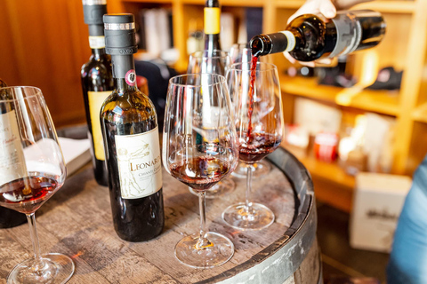 From Florence: Chianti Wine Tour with Wine Tasting Spanish - Chianti Wine Tour with Wine Tasting