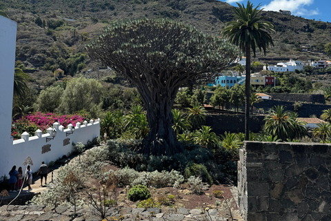 Tenerife: Teide, Icod, Garachico, and Masca Full-Day Tour
