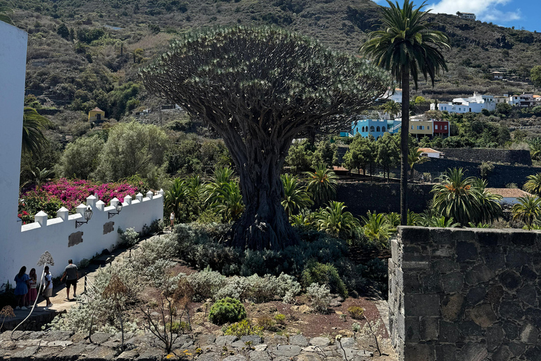 Tenerife: Teide, Icod, Garachico, and Masca Full-Day Tour