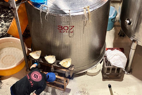 أوتارو: جولة مدينة بصحبة مرشد (سوق السمك، ممشى القناة والمزيد)أوتارو: جولة مدينة بصحبة مرشد (سوق الس