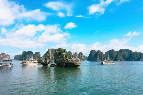 Leona Cruise: Ha Long Bay Day Tour with Cave & Titov Island Group Tour and Sharing Bus