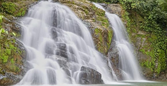 Manuel Antonio: Waterfall Excursion and Nature Adventure