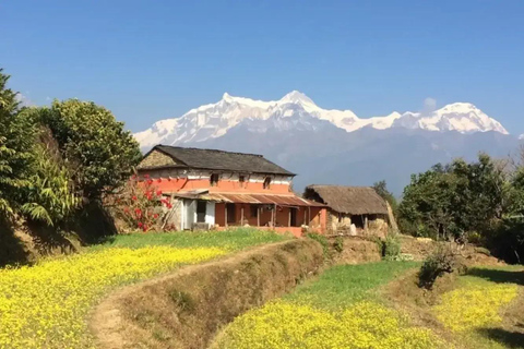 Pokhara: Łatwa jednodniowa wycieczka do wioski Dhampus i Astam