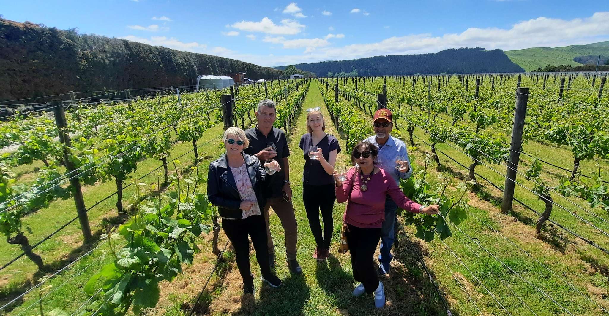 Martinborough Winery Tour - Hizvo