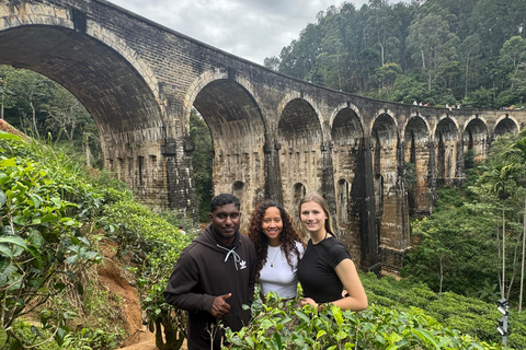Ella: NineArches Bridge,Mini adam's peak and Waterfalls Tour