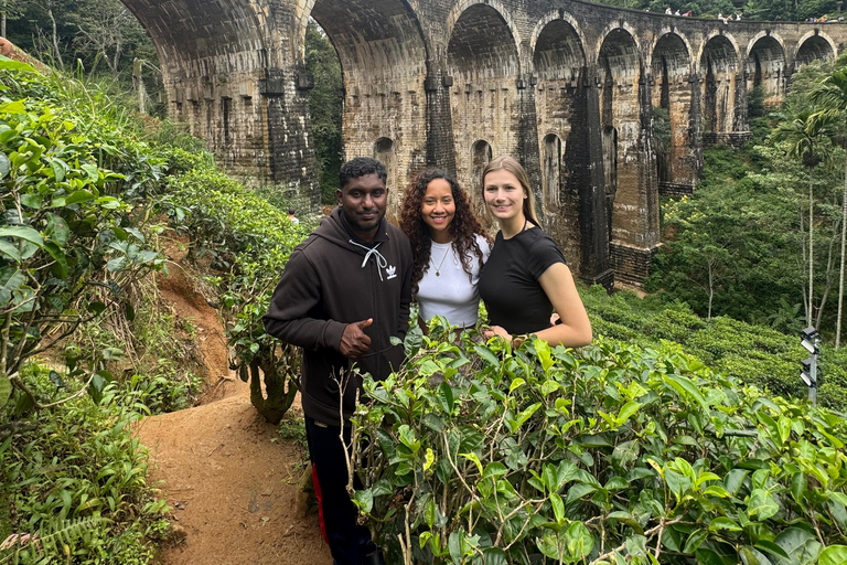Ella: NineArches Bridge,Mini adam's peak and Waterfalls Tour