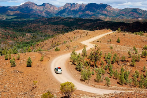 Flinders Ranges - Private All-Inclusive Expedition PRIVATE GROUP TOUR