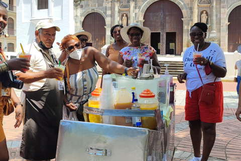 From Riu Playa Blanca - Panama Canal & City Tour From Riu Playa Blanca Hotel