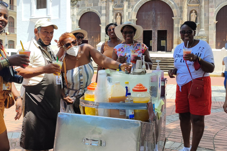 From Riu Playa Blanca - Panama Canal & City Tour From Riu Playa Blanca Hotel