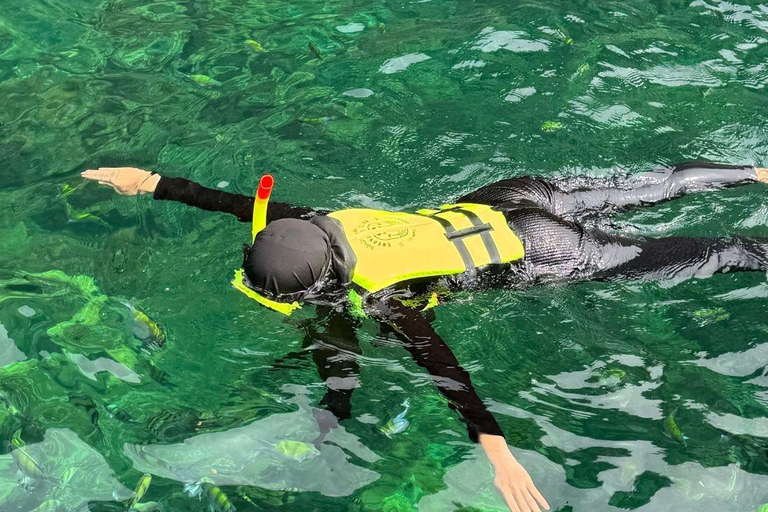 Phi Phi: lancha rápida a Maya Bay con excursión de snorkel