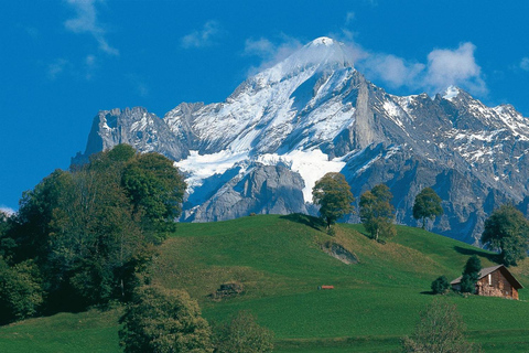 Luzern: Dagstur till Interlaken och Grindelwald i Schweiziska Alperna