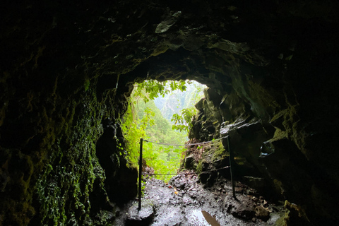 Madeira: Levada do Caldeirão Verde Wandeling met lokale ophaalservice