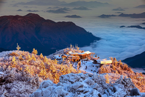 Från Seoul: Snötäckt skönhet i Deogyusan nationalpark