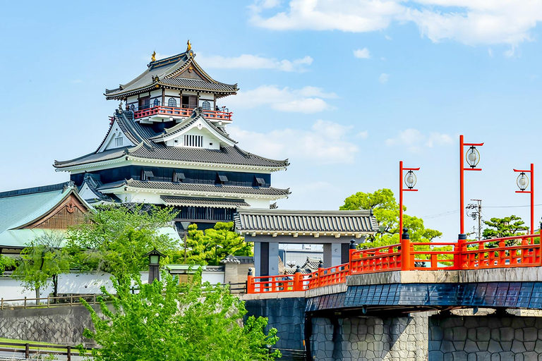 From Nagoya: Kegonji Temple, Yoro Park & Kiyosu Castle Tour