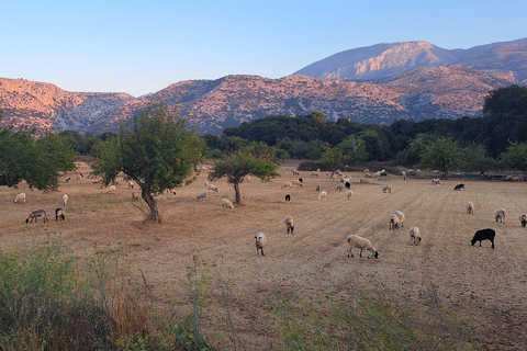 2 Days Tour in Crete - Knossos Zeus Cave Rethymno & Chania Highlights of Crete-Tour to Knossos Lasithi Rethymno&Chania