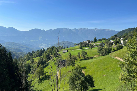 Från Ljubljana: Tur i Triglav nationalpark - PRIVAT