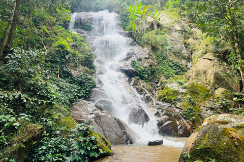 Chiang Rai: The Adventure of Trekking & Bamboo Cooking
