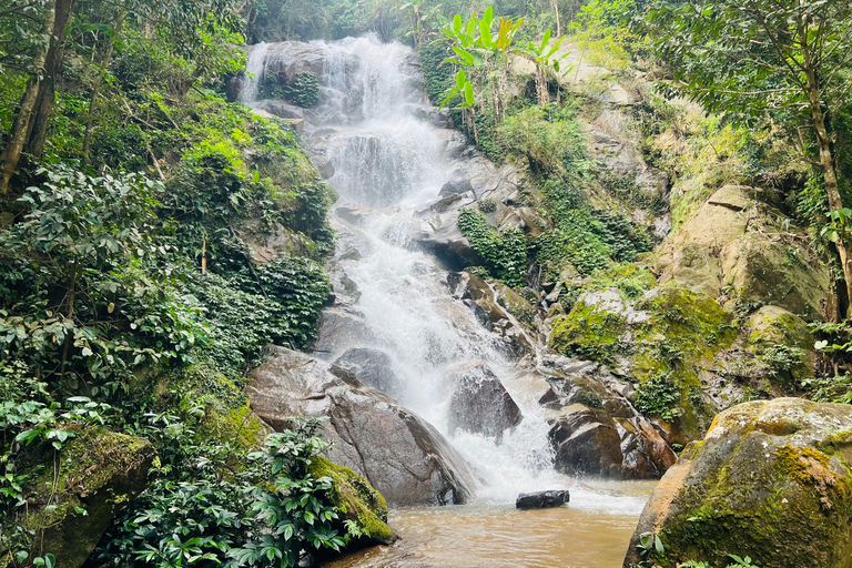 Chiang Rai: The Adventure of Trekking & Bamboo Cooking