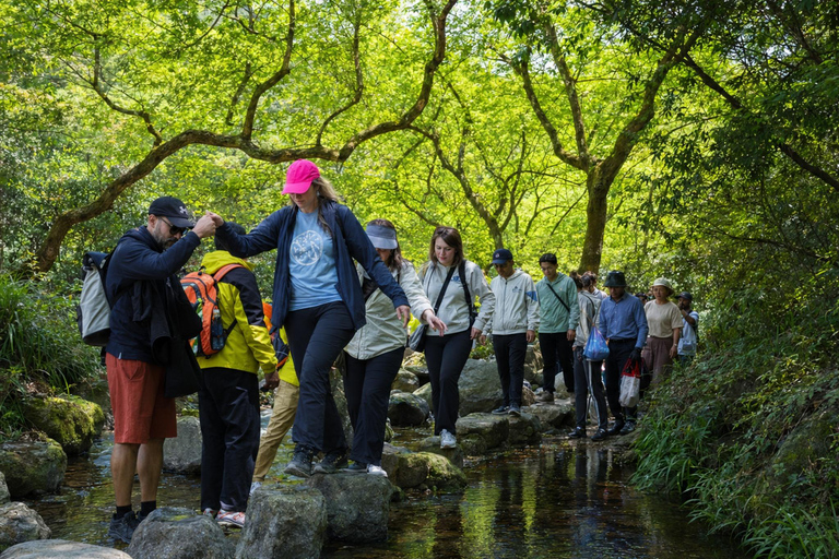 Hangzhou: Hike from Longjing Tea Village to Nine Creeks Group Tour