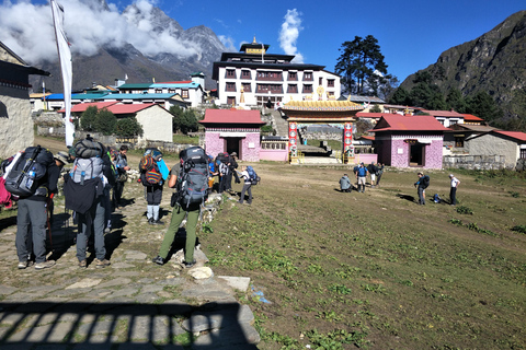 Everest Short Trek - 5 Days Everest Short Trek