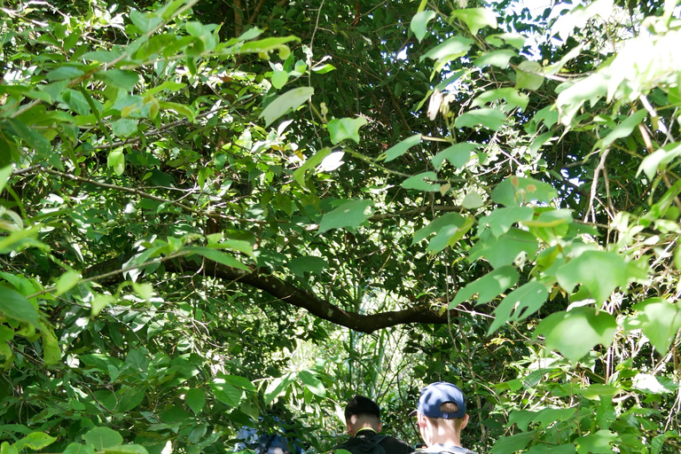 Santuario de My Son y Senderismo de Montaña - PeregrinaciónMi hijo Santuario Viaje de madrugada