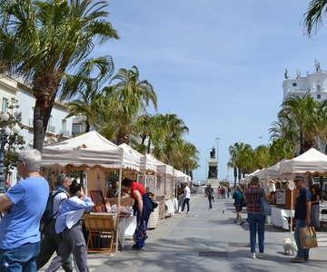 Guided tour of Cadiz in French with a local guide