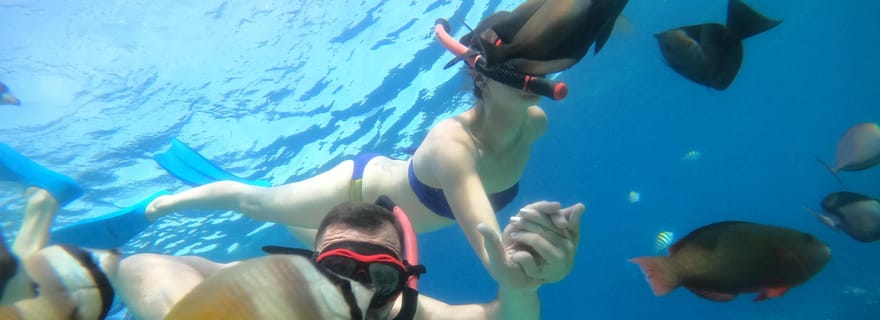 Gili T : Excursion en petit groupe pour la plongée avec masque et tuba