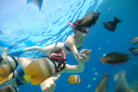 Gili T : Viagem de snorkeling para pequenos grupos