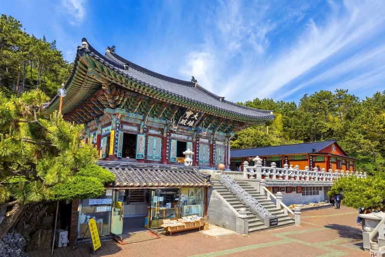 Le meilleur de Busan : temples de la mer, excursion en yacht et village de GamcheonVisite partagée, rendez-vous à la gare de Haeundae