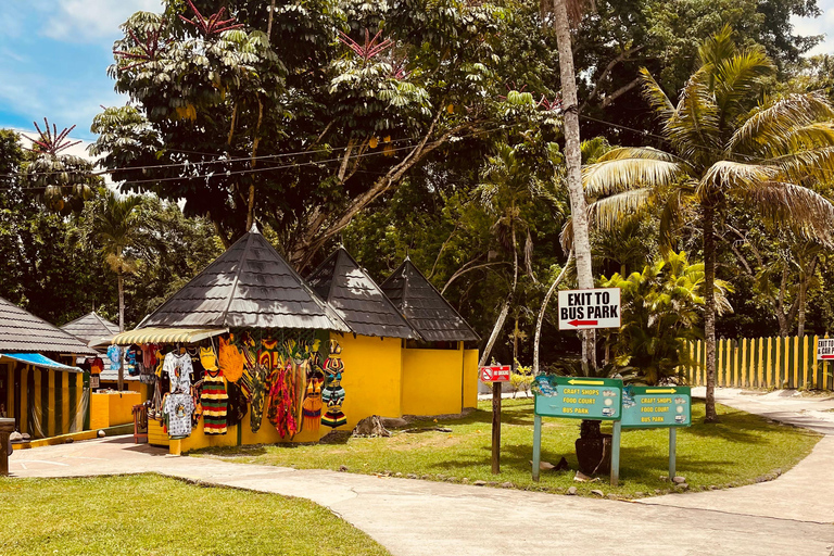 Reiten und Dunn&#039;s River Falls Combo TourNur Reiten