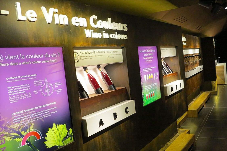 Lyon: Beaujolais Wine Tour with Tastings and Castle Visits