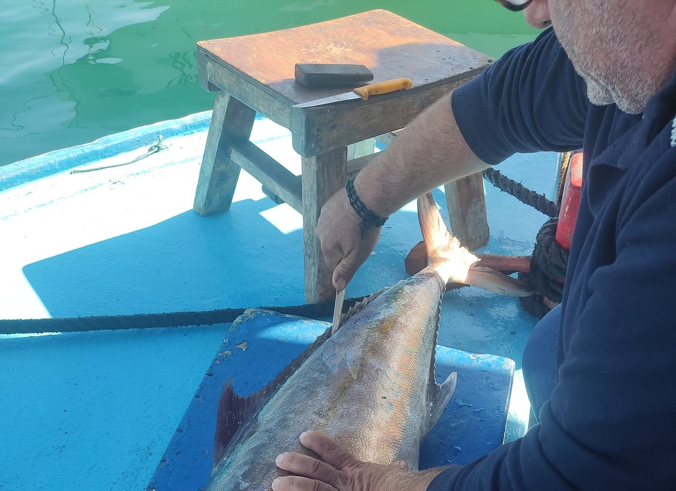Rhodos by: Fiskebådstur med fiskemåltid og svømmestop
