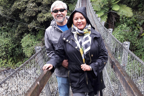 Desde Wellington Excursión a Martinborough para catar vinos