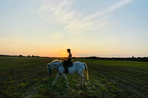 Dragør: Amager Fælled Scenic Horseback Riding Tour