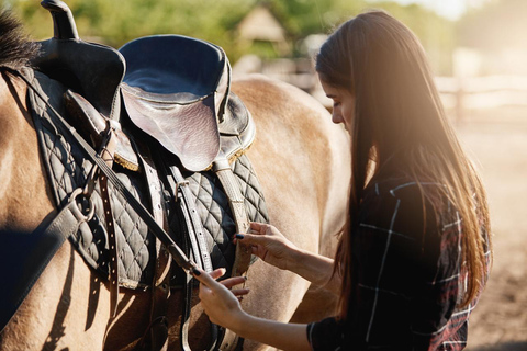 Lanzarote: Horseback Riding Tour to Pozo Beach