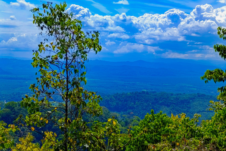 Santa Rosa de Osa: Trekking Tour Santa Rosa, San Martin & Miramar