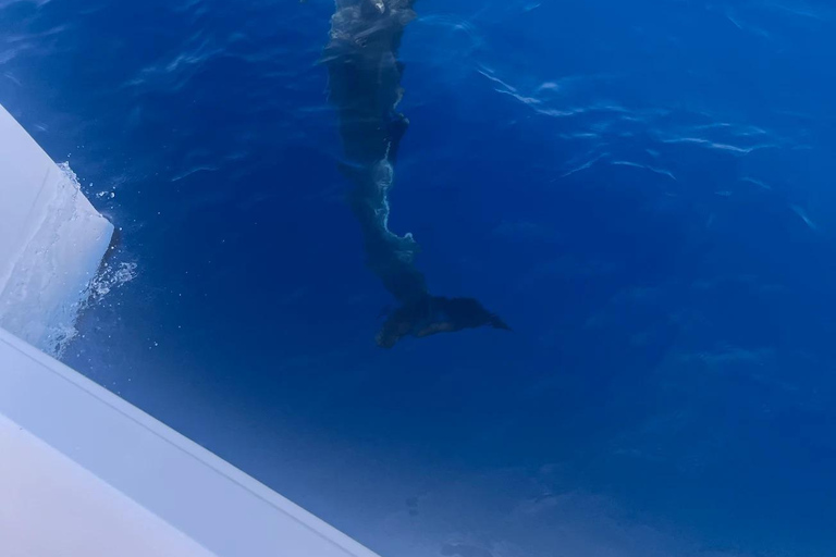 Half Day Ultimate Yacht Experience to Comino