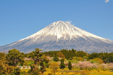 Monte Fuji y lago Kawaguchi: tour en autobús de un díaTour con punto de encuentro en Shinagawa