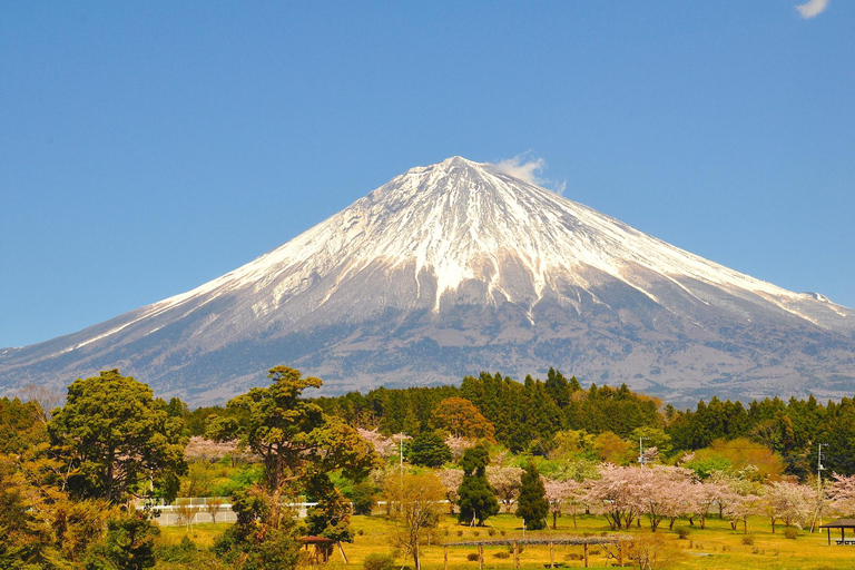 Journée d'excursion autour du mont Fuji et du lac KawaguchiVisite avec prise en charge au monument "LOVE" de Shinjuku