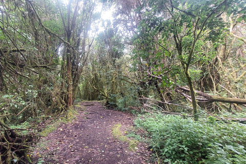 Recorrido y caminata al Volcán Barva Heredia