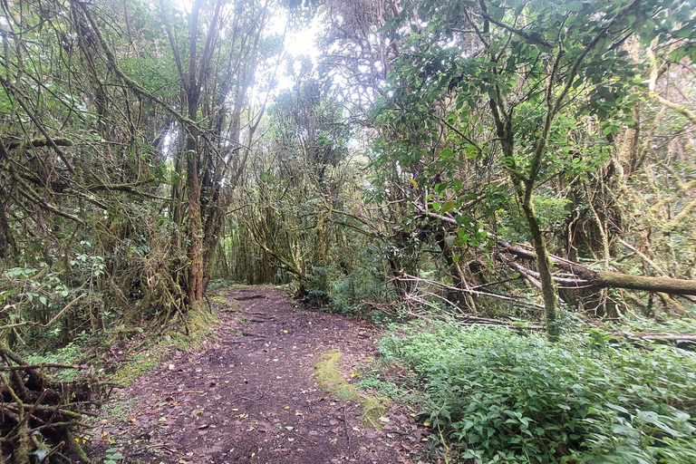 Volcán Barva Heredia Viaje y Caminata