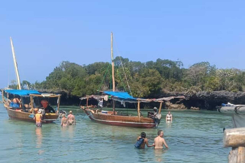 Zanzibar;Blue Safari Snorkeling & Blue Lagoon with BBQ lunch Pickup anywhere (All inclusive)