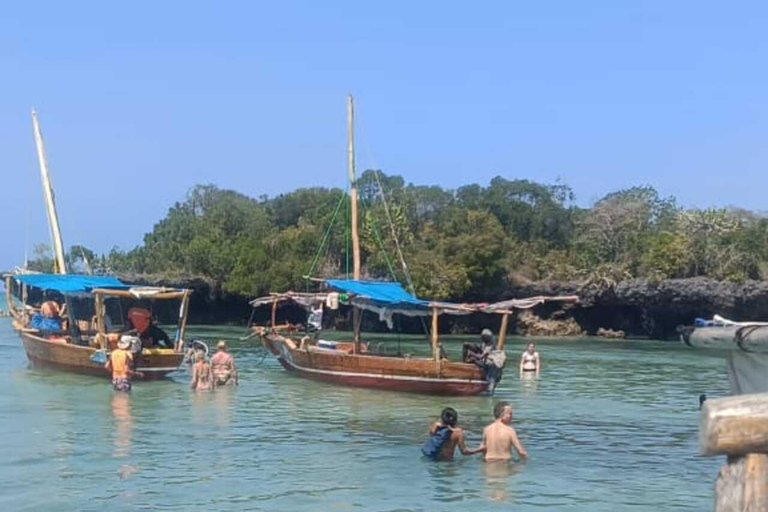 Zanzibar;Blue Safari Snorkeling & Blue Lagoon with BBQ lunch Pickup anywhere (All inclusive)