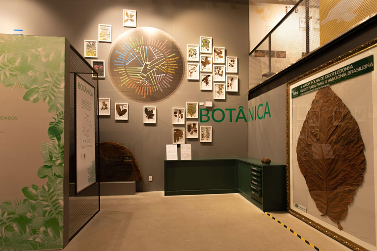 Private Tour in Manaus: Science Forest and Amazonas Theater