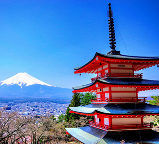 Yokohama: Day Trips and Tours from Tokyo