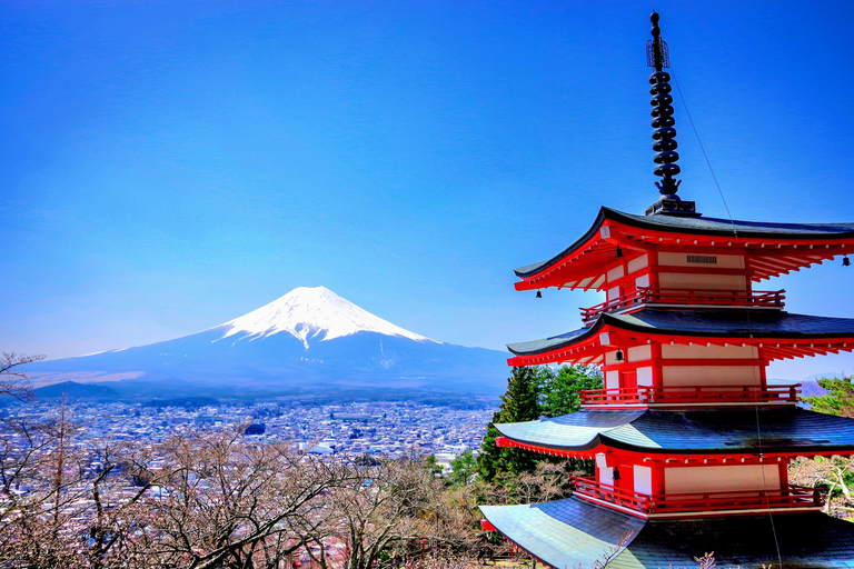 Från Tokyo / Yokohama: Privat dagsutflykt till Fuji-berget och Hakone